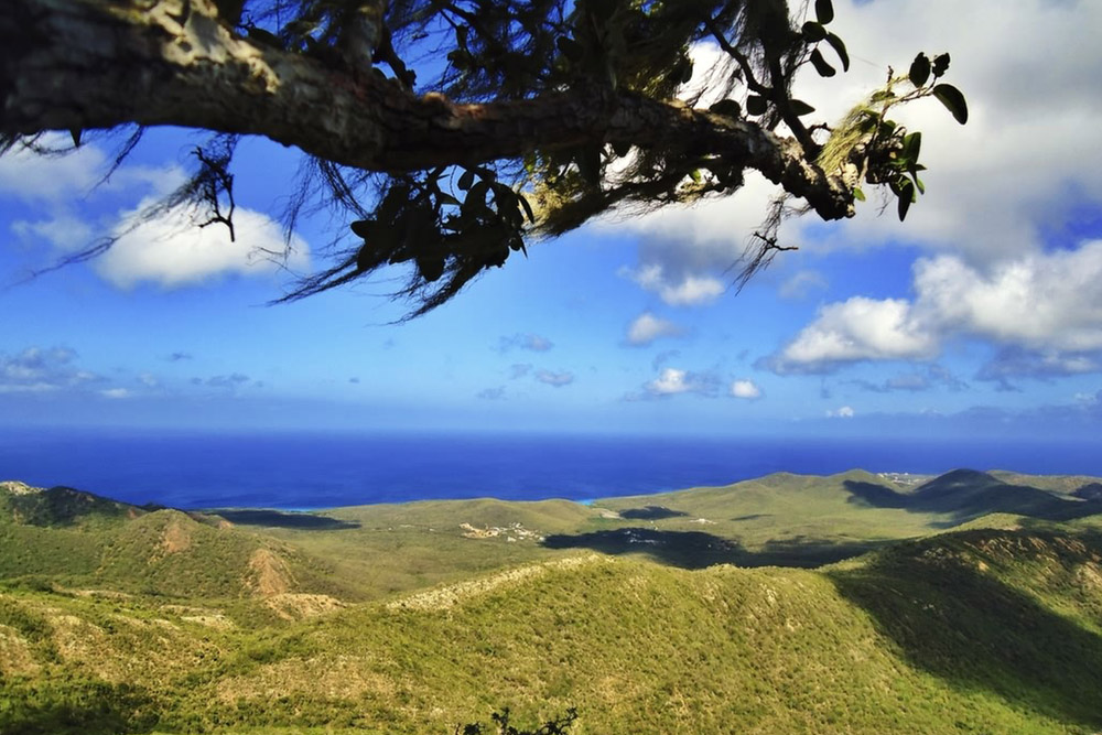 wat te doen op curacao