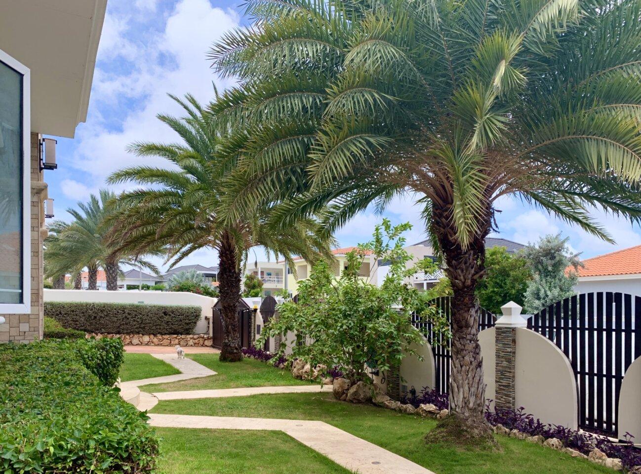 Large Villa Plus Apartments For Sale in Jan Thiel