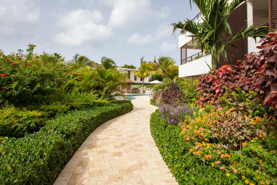 Luxury and exclusive apartment for sale in Jan Sofat-28