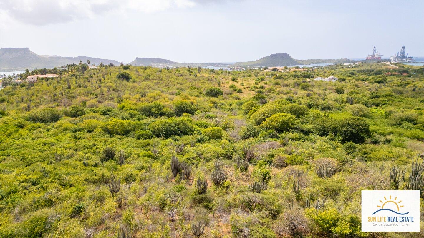 Luxury Condos and Penthouses Under Construction For Sale