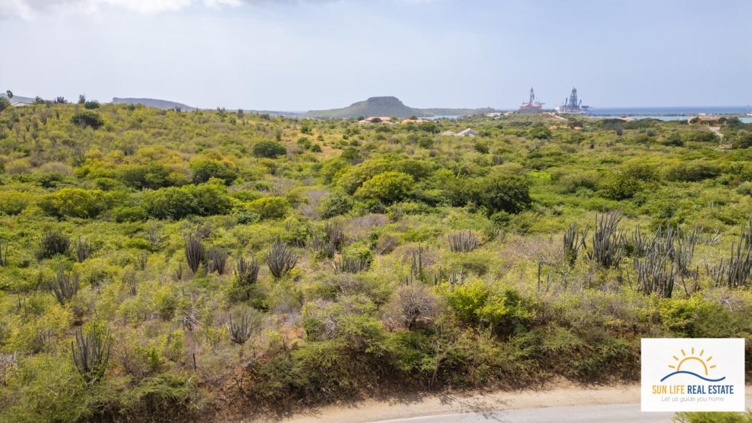 Luxury Condos and Penthouses Under Construction For Sale-24