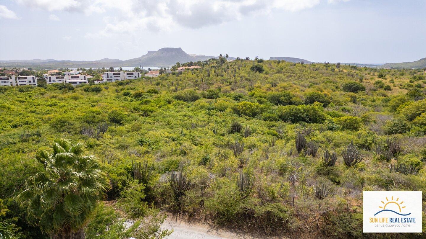 Luxury Condos and Penthouses Under Construction For Sale