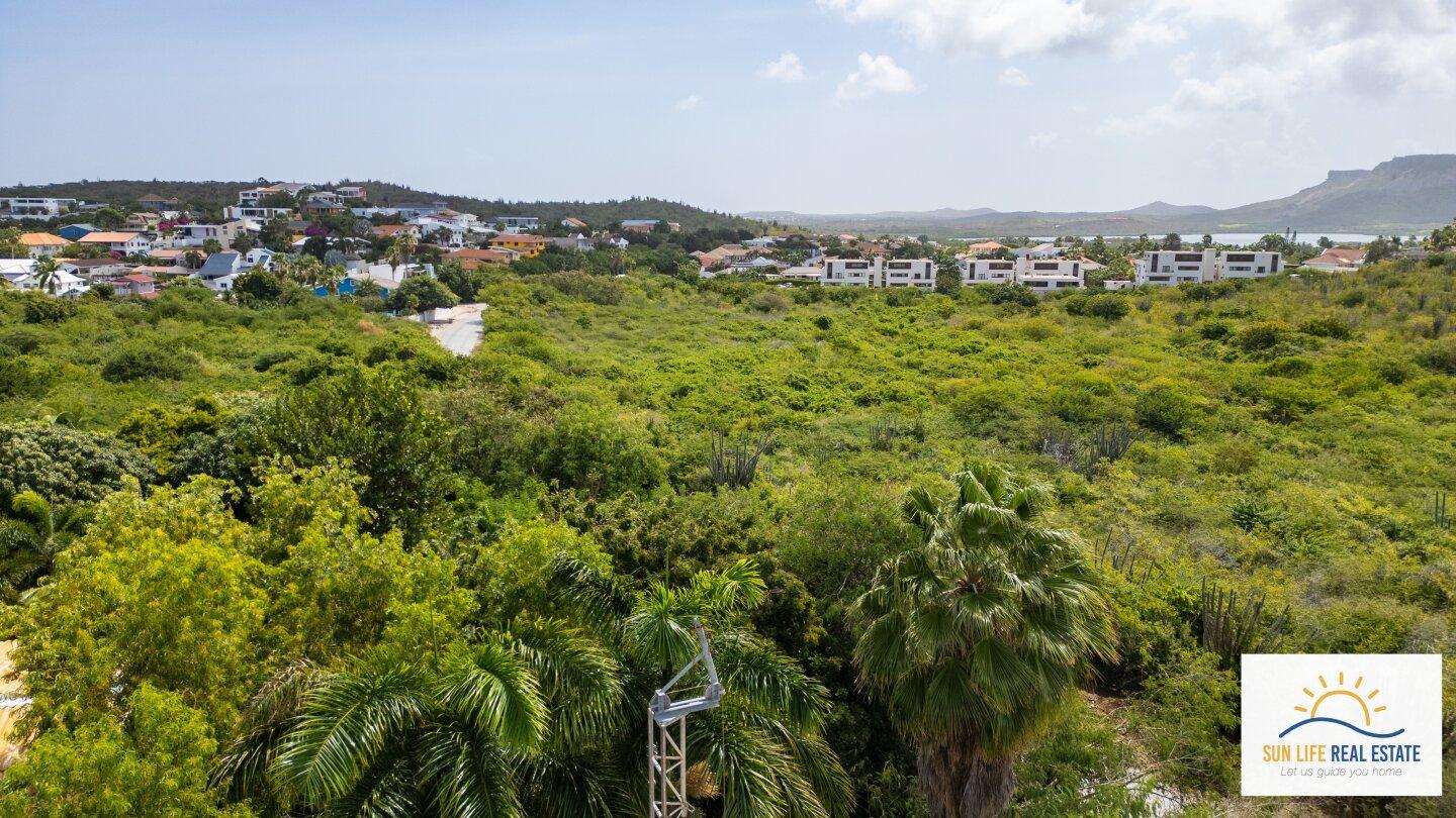 Luxury Condos and Penthouses Under Construction For Sale