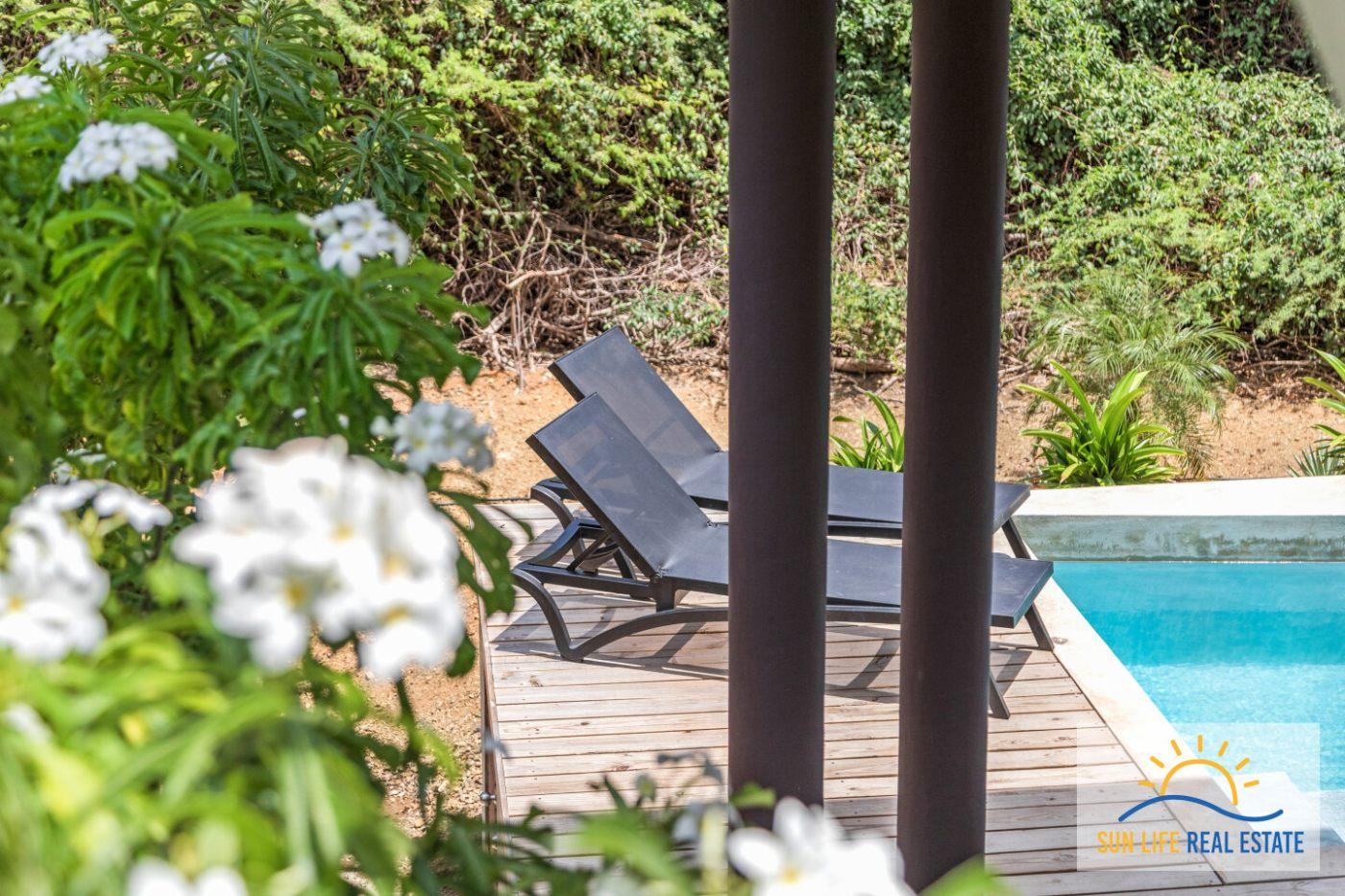 Indoor-Outdoor Living House For Sale in Sint Michiel