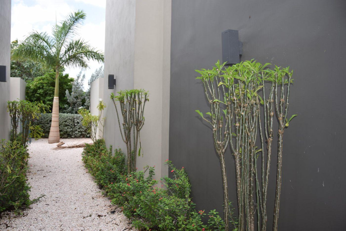 Apartment for rent Rooi Catootje Rooi Catootje