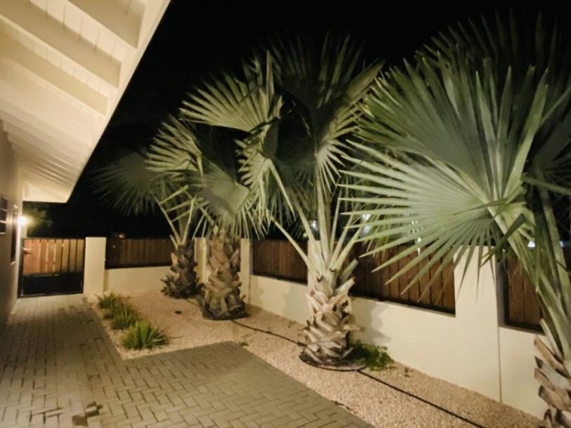 House For Rent With Hilltop View in Vista Montana-10