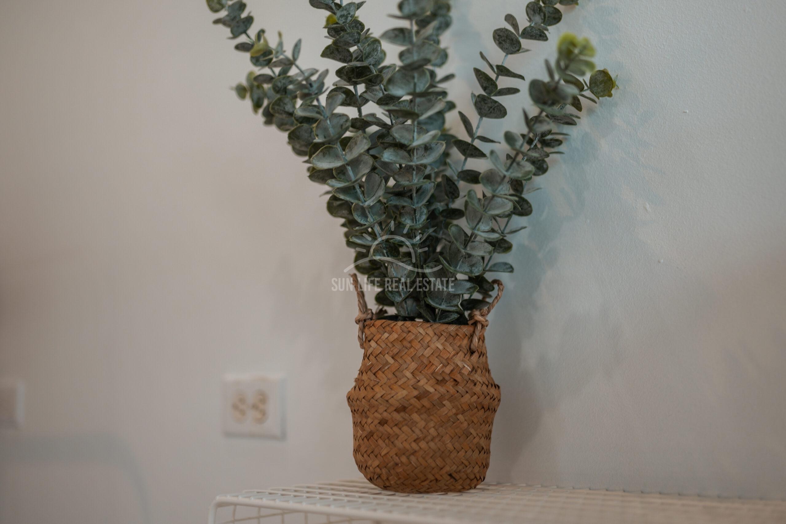 Prime Investment Opportunity in UNESCO-Protected Heritage Property in Otrobanda